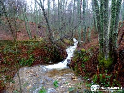 Valle del Ambroz-Sierra de Bejar - Gredos; excursiones desde madrid de un dia;club montañismo madri